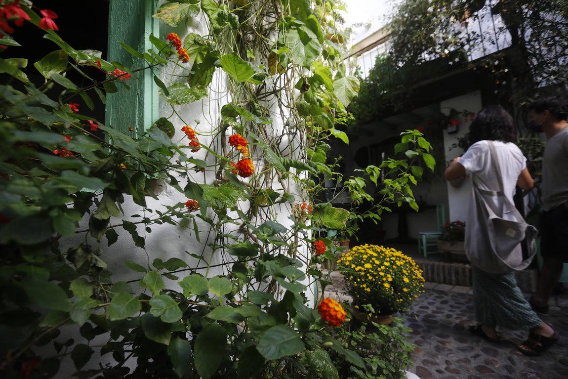 La apertura extraordinaria de los Patios de Córdoba, en imágenes