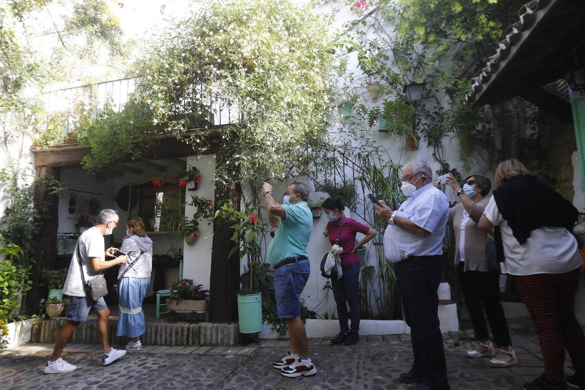 La apertura extraordinaria de los Patios de Córdoba, en imágenes