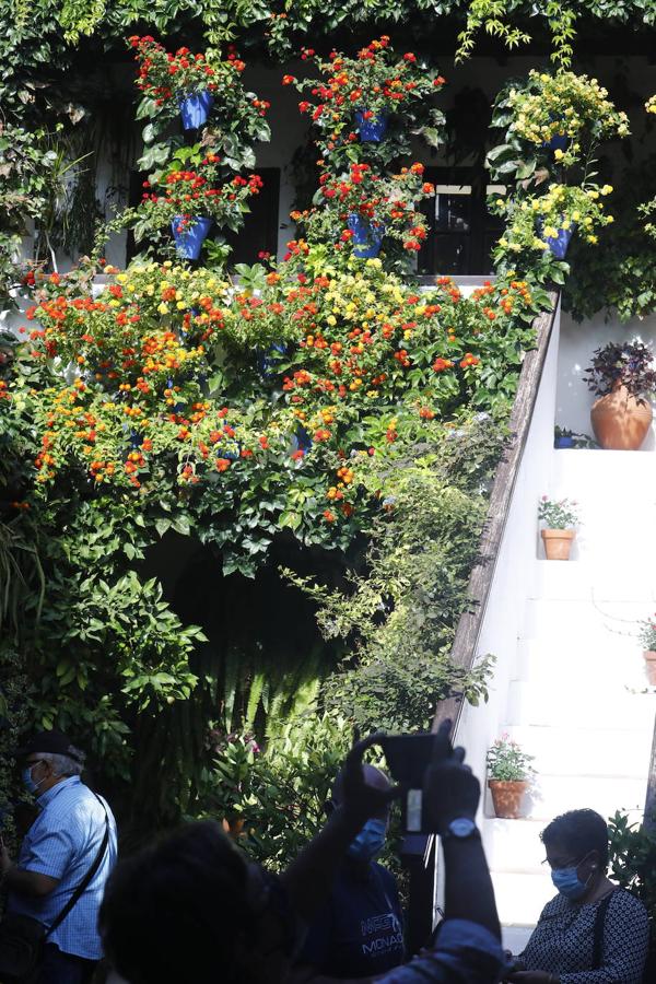 La apertura extraordinaria de los Patios de Córdoba, en imágenes
