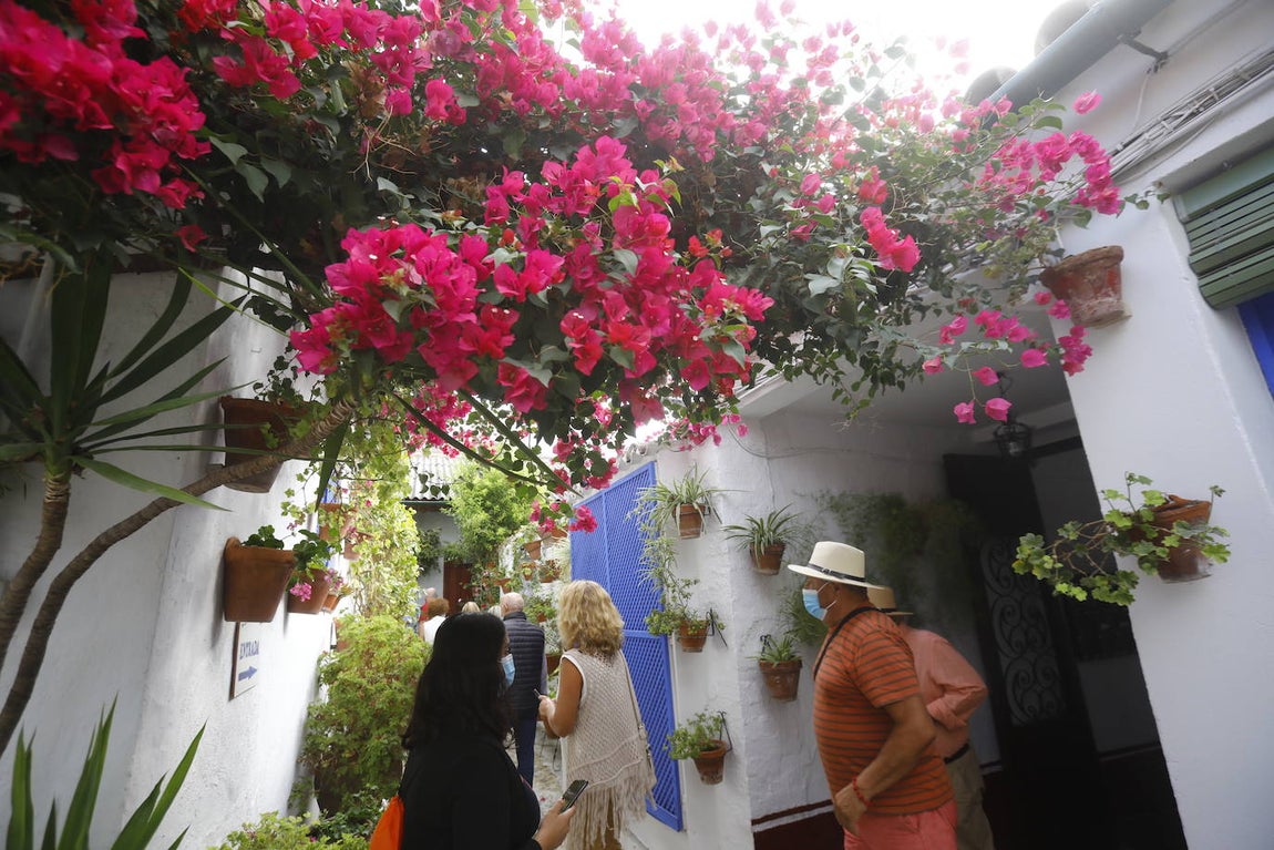 La apertura extraordinaria de los Patios de Córdoba, en imágenes