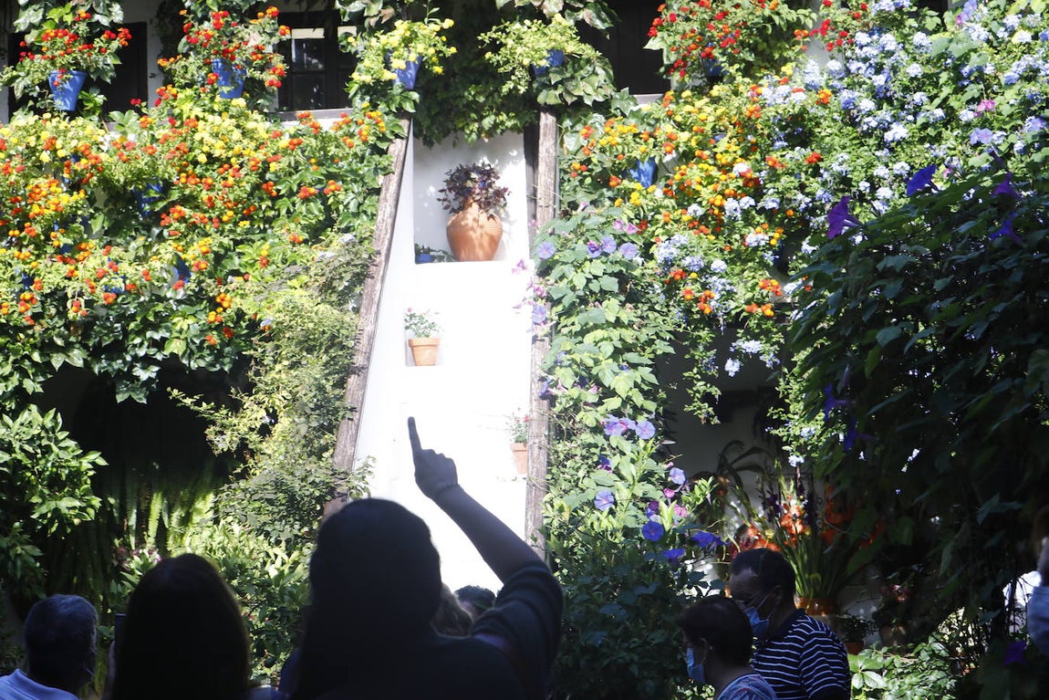 La apertura extraordinaria de los Patios de Córdoba, en imágenes