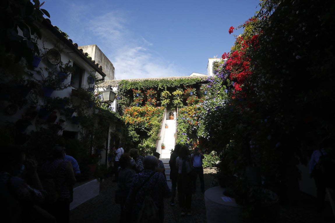 La apertura extraordinaria de los Patios de Córdoba, en imágenes