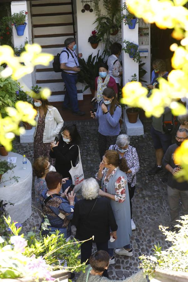 La apertura extraordinaria de los Patios de Córdoba, en imágenes
