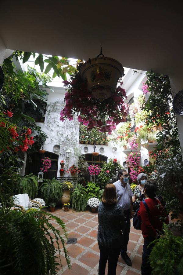 La apertura extraordinaria de los Patios de Córdoba, en imágenes