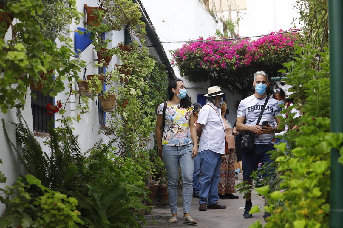 La apertura extraordinaria de los Patios de Córdoba, en imágenes