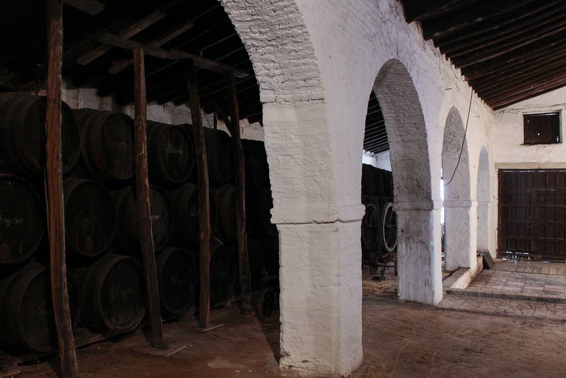 Bodegas Góngora: Enoturismo de lujo en el Aljarafe