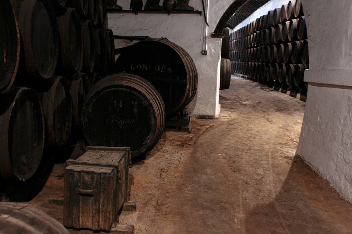 Bodegas Góngora: Enoturismo de lujo en el Aljarafe
