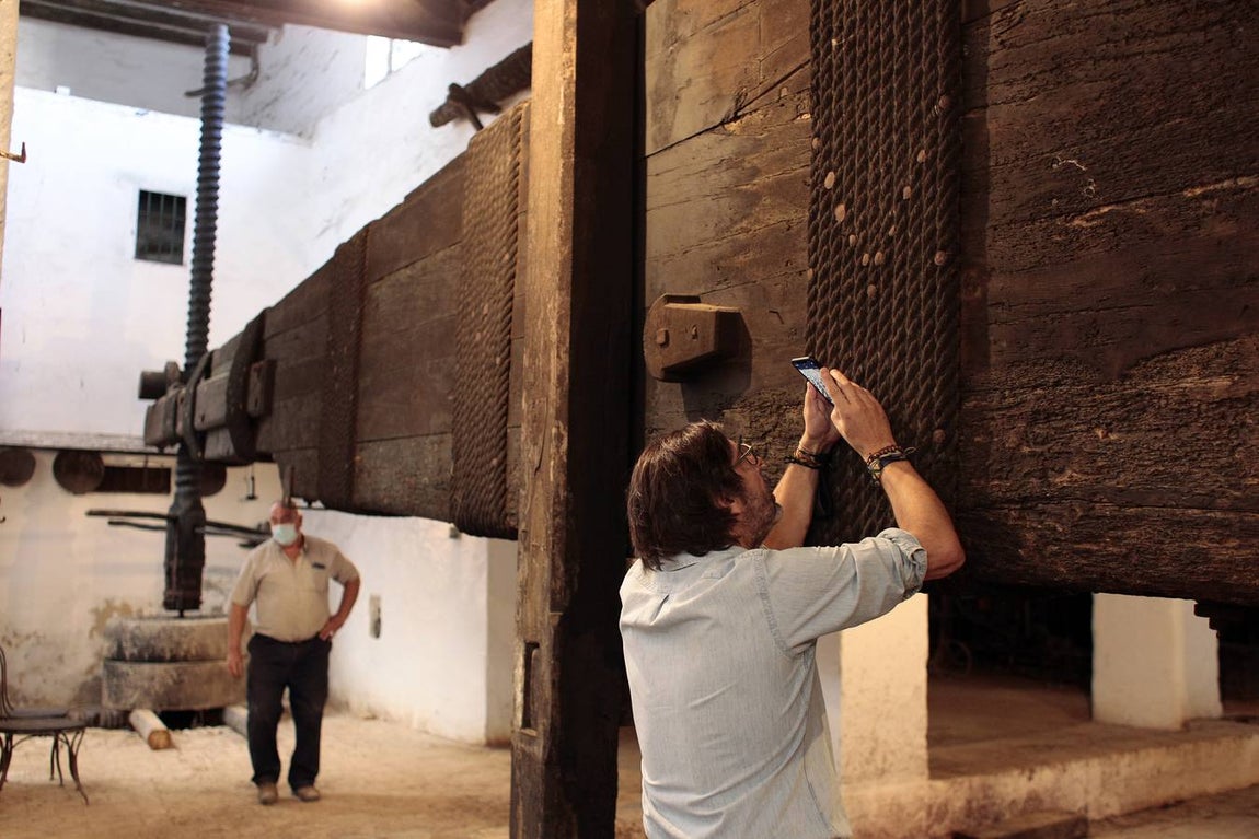 Bodegas Góngora: Enoturismo de lujo en el Aljarafe