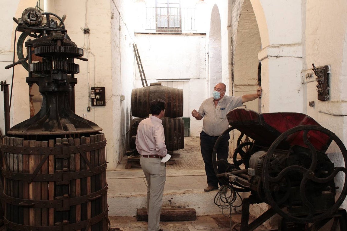 Bodegas Góngora: Enoturismo de lujo en el Aljarafe