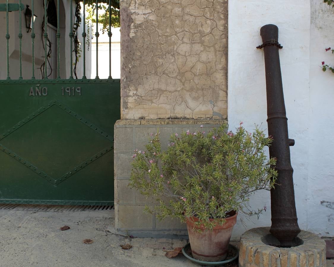 Bodegas Góngora: Enoturismo de lujo en el Aljarafe