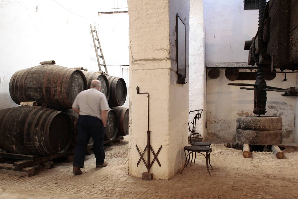Bodegas Góngora: Enoturismo de lujo en el Aljarafe