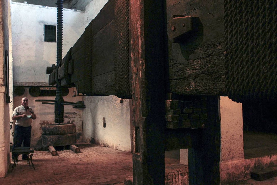 Bodegas Góngora: Enoturismo de lujo en el Aljarafe