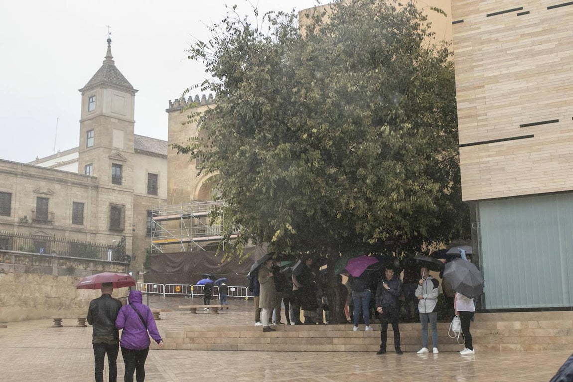 El turismo en el Puente de Todos los Santos en Córdoba, en imágenes
