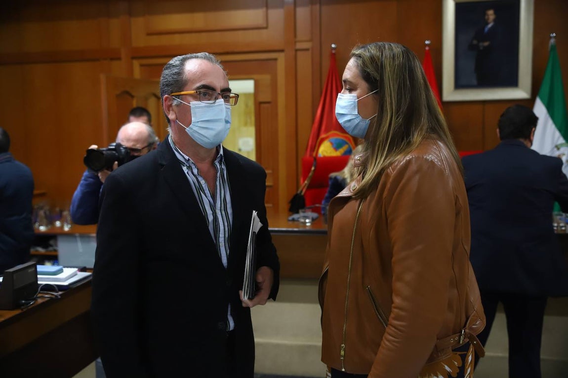 El Pleno del Ayuntamiento de Córdoba, en imágenes