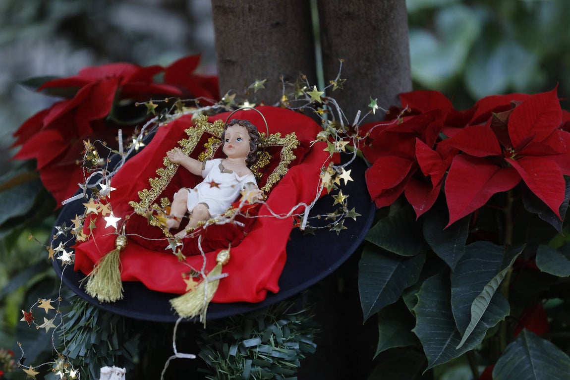 La apertura de los Patios de Córdoba en Navidad, en imágenes