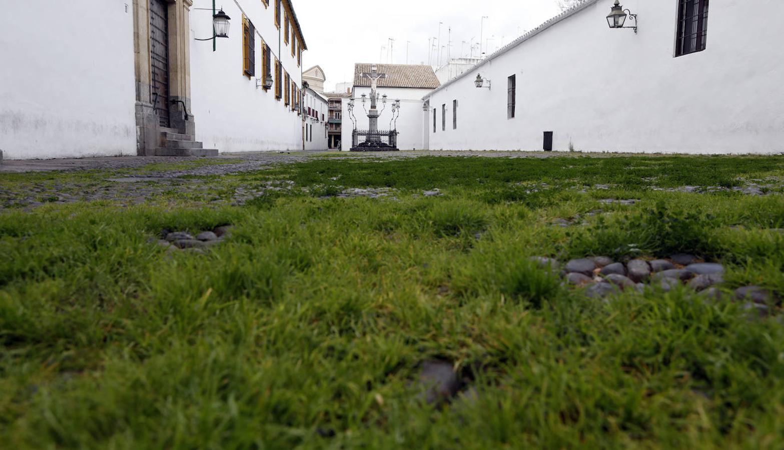 Un paseo por la historia y estética del Cristo de los Faroles de Córdoba, en imágenes