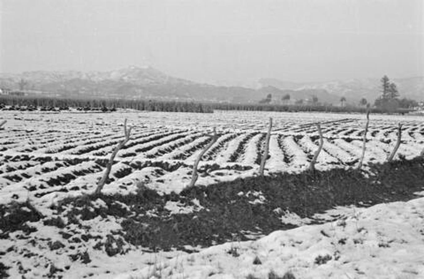 En imágenes, la insólita nevada que cayó sobre Málaga en 1954