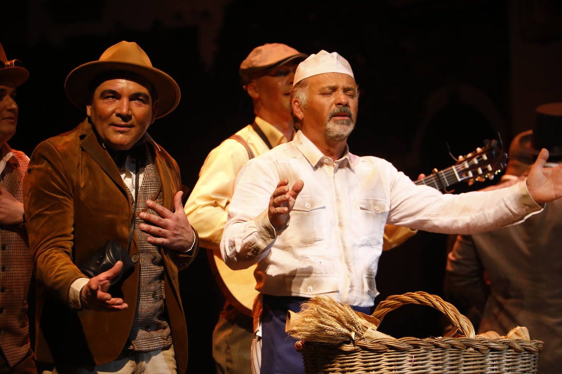 La final del Carnaval de Córdoba, en imágenes
