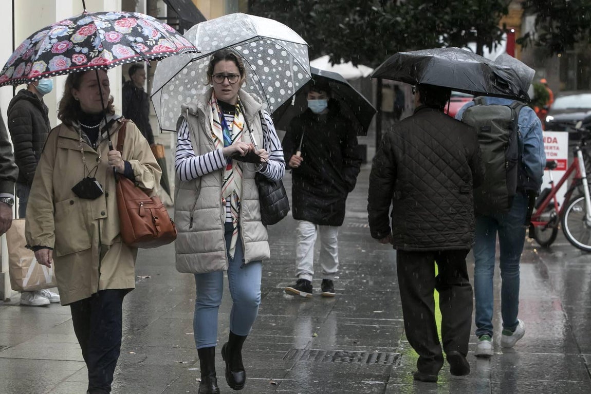 La primera lluvia en semanas en Córdoba, en imágenes