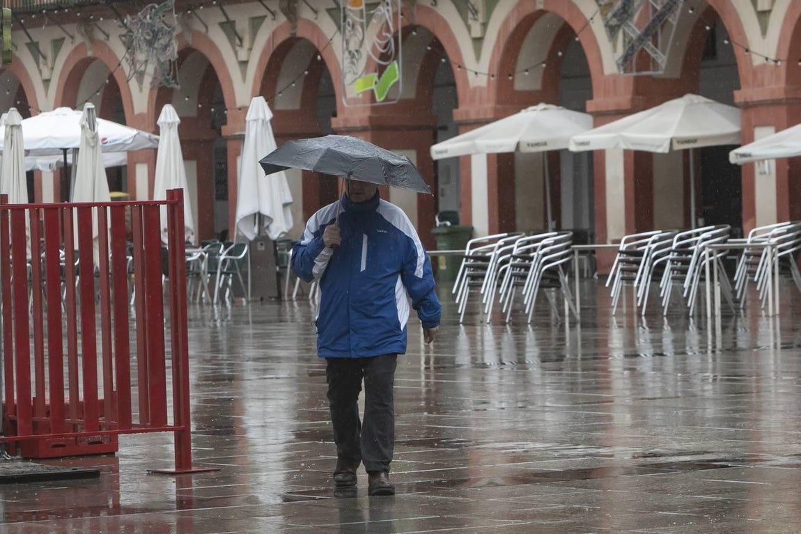 La primera lluvia en semanas en Córdoba, en imágenes