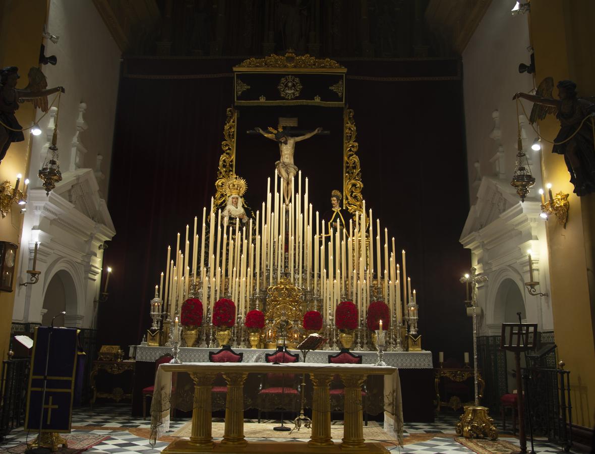 La elegancia de San Bernardo