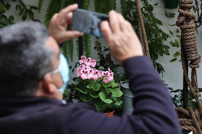 La ruta de San Basilio de los Patios de Córdoba, en imágenes