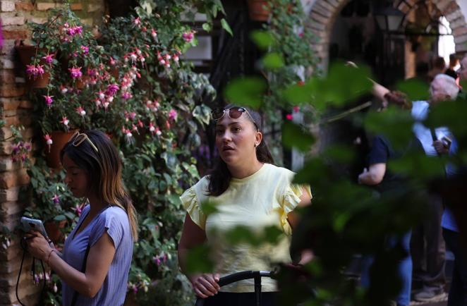 Patios de Córdoba 2022 | La ruta de San Pedro y Santiago, en imágenes