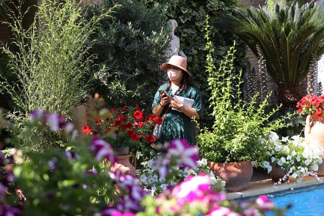 Patios de Córdoba 2022 | La ruta de San Pedro y Santiago, en imágenes