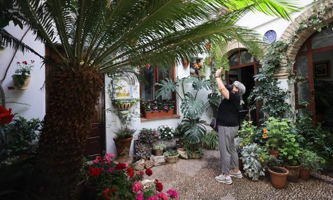 Patios de Córdoba 2022 | Judería y San Francisco, en imágenes