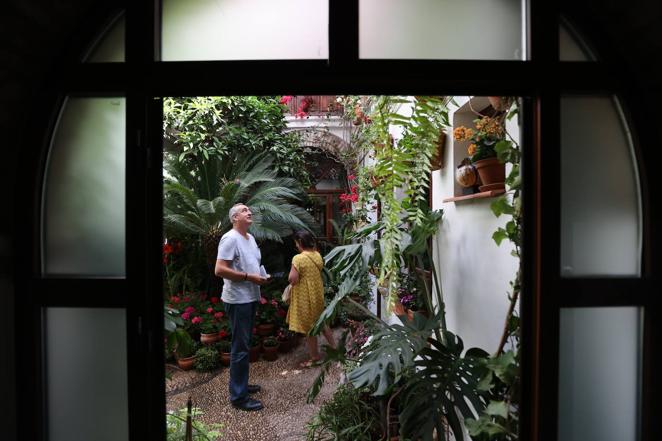Patios de Córdoba 2022 | Judería y San Francisco, en imágenes
