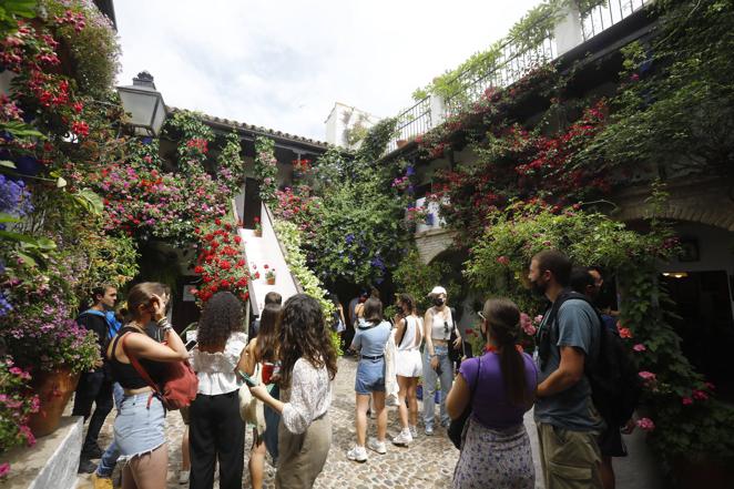 En imágenes, el ambientazo del sábado de Patios en Córdoba