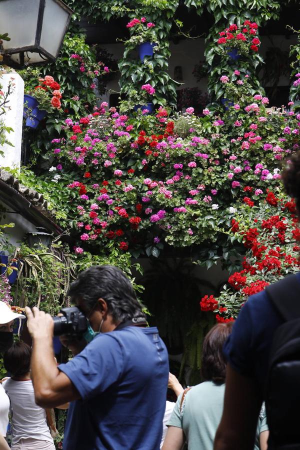 En imágenes, el ambientazo del sábado de Patios en Córdoba