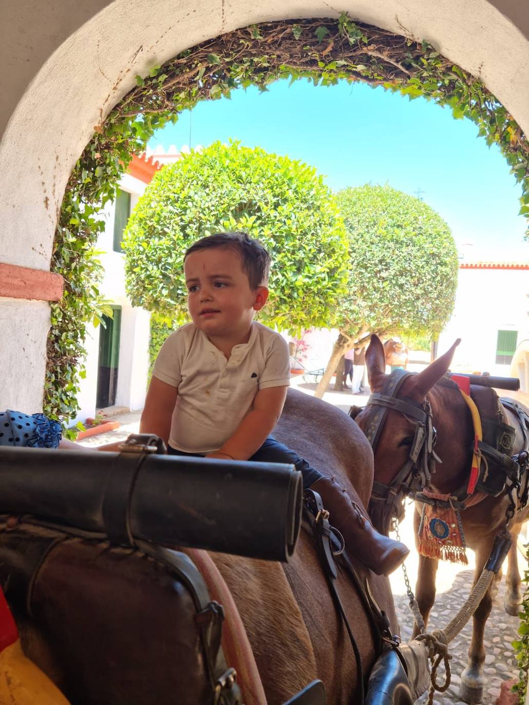 Rocío 2022 | El camino de la hermandad de Córdoba, en imágenes