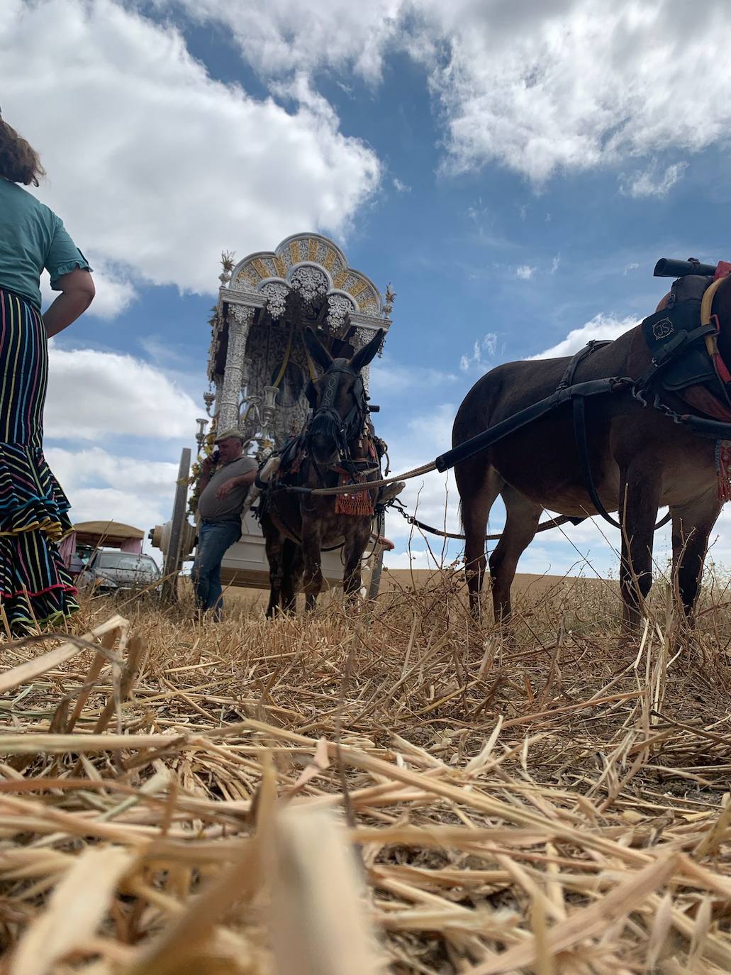 Rocío 2022 | El camino de la hermandad de Córdoba, en imágenes