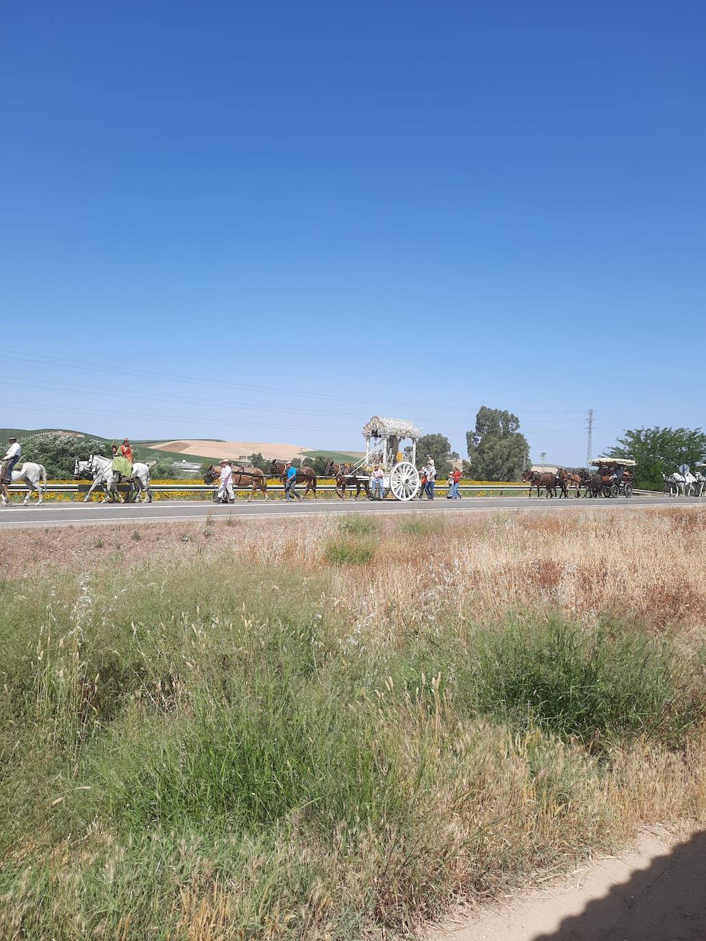 Rocío 2022 | El camino de la hermandad de Córdoba, en imágenes