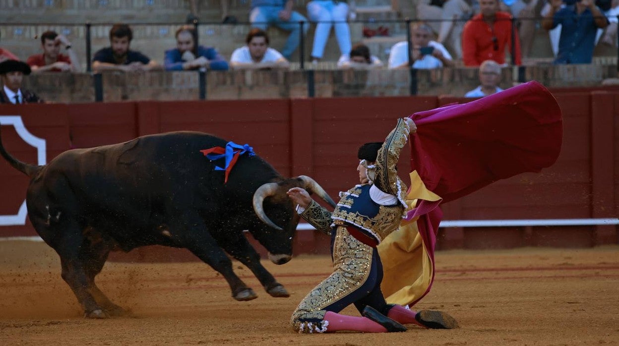 En imágenes, novillada gris en la Maestranza