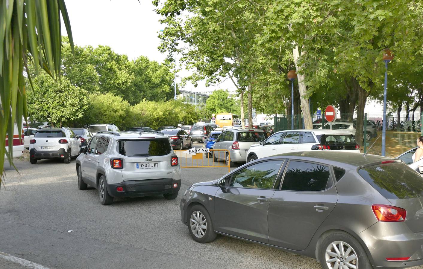 Otro gran atasco en la Cartuja