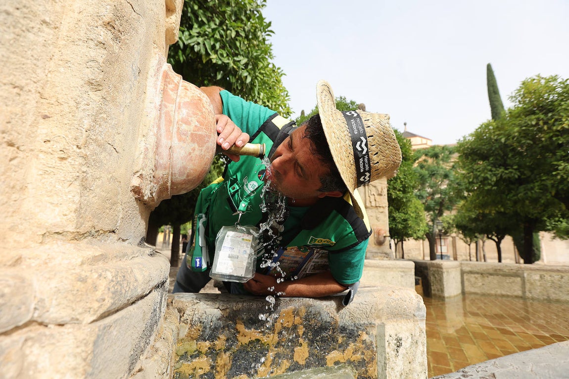 Los estragos de la ola de calor en Córdoba, en imágenes