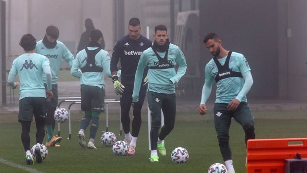 UCAM Murcia - Betis: con paso firme