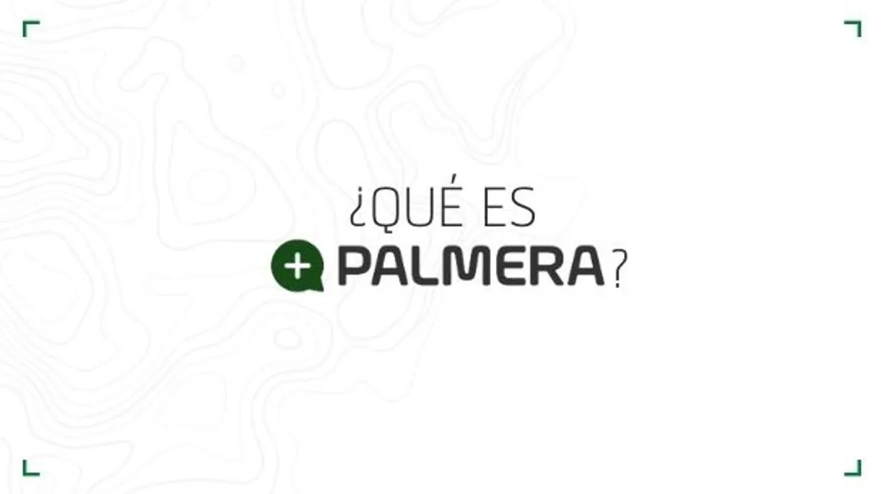 ¿Qué es +Palmera?