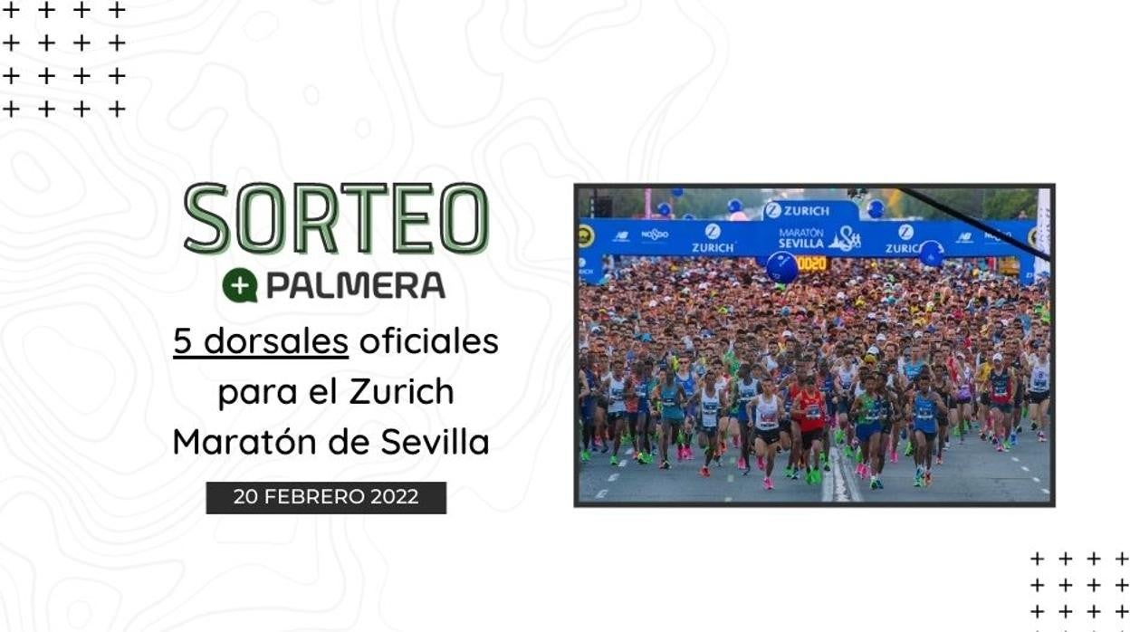 Sorteo: Consigue tu dorsal para correr el Zurich Maratón de Sevilla el próximo 20 de febrero