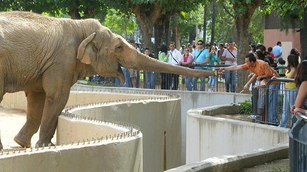 Visitantes en el Zoo de Córdoba