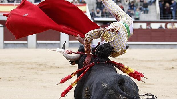 Cogida a Andrés Jiménez «El Gallo de Córdoba», hoy en Las Ventas