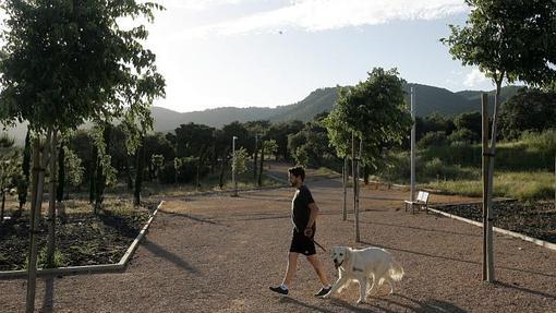 Un joven pasea por la zona verde junto a su perro