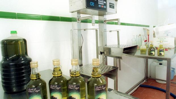 Pesadora en un laboratorio de aceite de oliva en una cooperativa