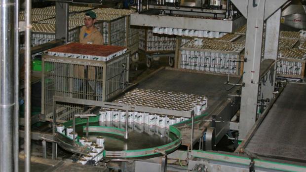 Cadena de envasado de la fábrida de Dcoop en Monturque