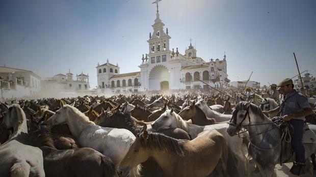 La saca de las yeguas en el Rocío