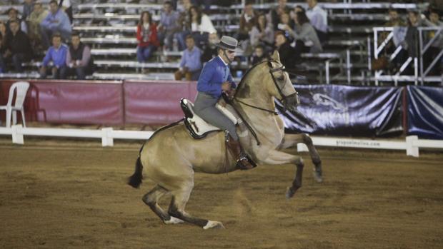 El Salón del Caballo y el Campo estudia cómo exportar el espectáculo