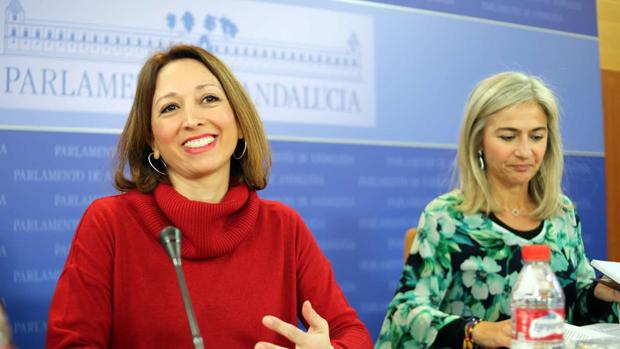 El PP y Ciudadanos piden explicaciones al consejero de Salud