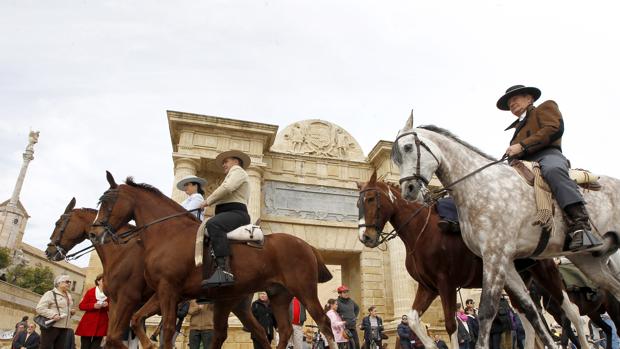Córdoba Ecuestre, convencida de que seguirá en Caballerizas